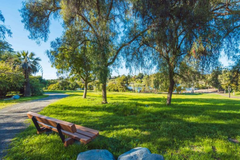 Guajome Regional Park - Campsite & RVs in Oceanside, CA