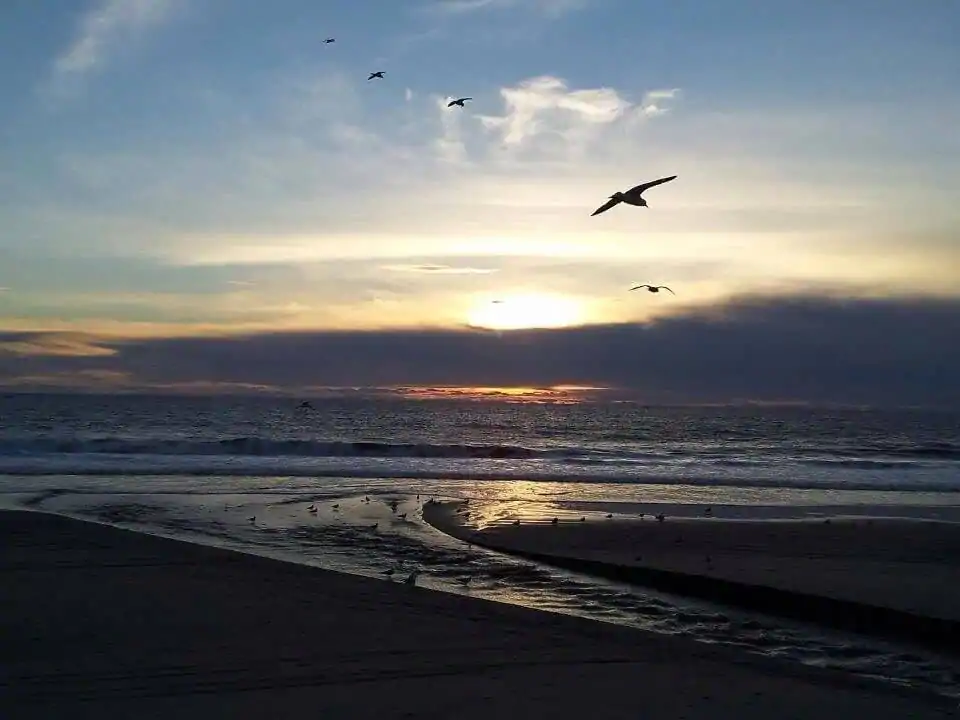 Bike to Carlsbad Village