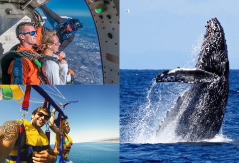 Unique and Unexpected Things to Do in Oceanside