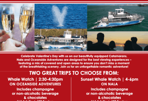 Oceanside Adventures Valentine's Day Whale Watching Cruise