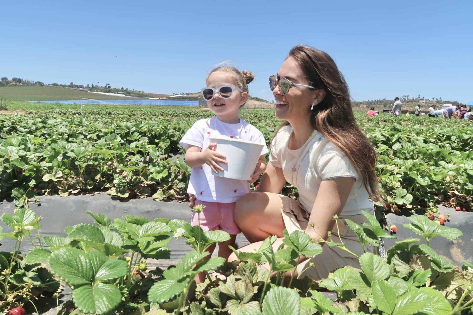 Unique and Unexpected Things to Do in Oceanside Visit Oceanside