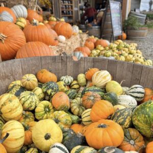 Pumpkin Display