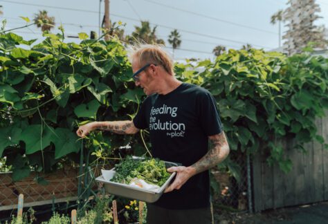 Inside O'side: The Plot Garden Project