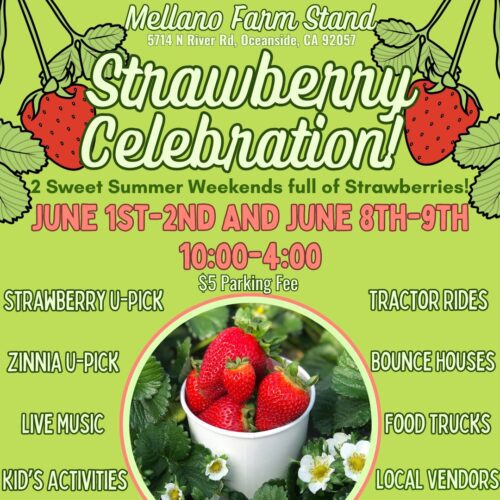 Strawberry Celebration at Mellano Farm Stand June 01, 2024