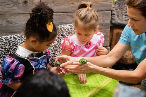 12888571_1500x1000_500