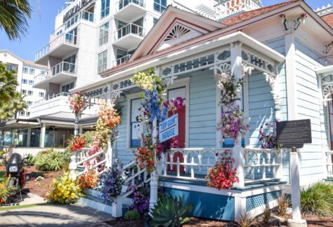Oceanside in Bloom: Experience Art Alive, Petal Pop-Ups, and Spring Fun