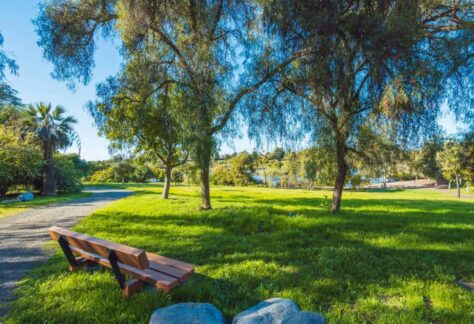 Plein Air Paint Out With OMA Artist Alliance: Guajome Lake