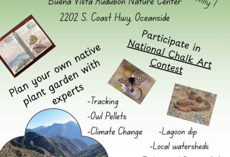 Endangered Species Day Open House at Buena Vista Nature Center