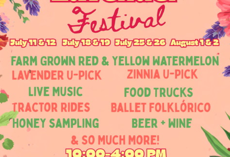 Oceanside's Watermelon & Lavender Festival at Mellano Farm Stand